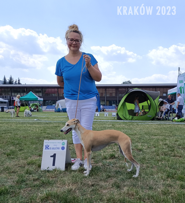 GOLDEN ARROW Filisart